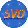 SVO logo